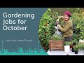 Planting for autumn colour  gardening jobs for october with annmarie powell
