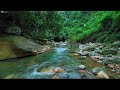 River Gentle Stream Sounds in forest 24/7. River Sounds, Flowing Water, White Noise for Sleep