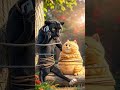 Brother leopard saves orange cat #orangecatbehavior #orangecat #orangecatstory