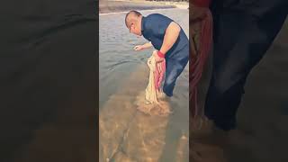 A lot of fish are caught in the net. #videoshort #fishing #fishinggear #fishingplanet