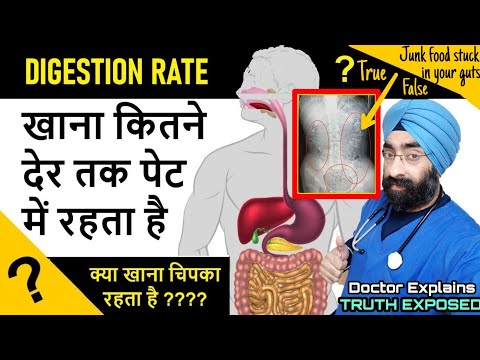 How long food stays in the gut? Digestion Rate? क्या खाना चिपका रहता है | Dr.Education