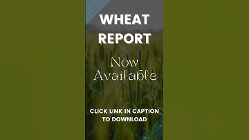 Wheat Report | 26 Aug 2024