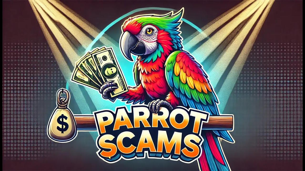 How to Spot and Avoid Parrot Scams