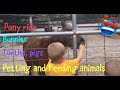Feeding and petting animals at the farm familyfun