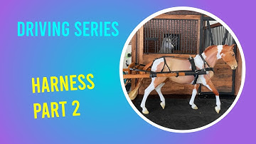 Make a Model Horse Harness - Part 2