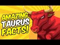 Amazing Facts About TAURUS Zodiac Sign