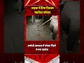 Amreli के अस्पताल में खड़ी बाइक से निकला जहरीला Cobra, मच गया हड़कंप;