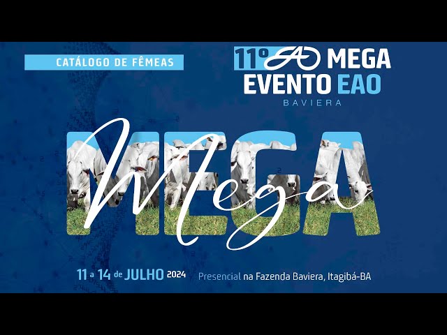 LOTE 41