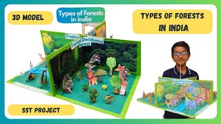 Types of forest 3D project | How to make forest model | Model on Natural Vegetation I Sst project
