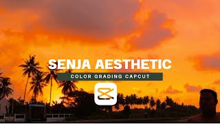 Tutorial edit cinematic color grading senja|| capcut tutorial#editcinematic #aesthetic #colorgrading
