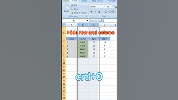 Hide Rows and Columns #excel #exceltips #exceltutorial #learnexcel #excelcourse #viralshorts #viral