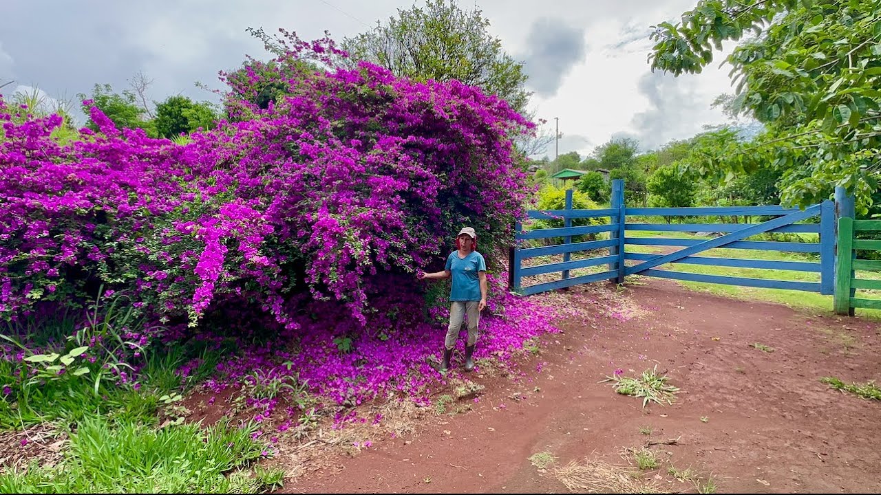 Com muita garra ela conquistou seu próprio sítio…