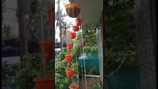 Spiral Hanging Pots | Amazing Hanging | Beautiful | Plants Hanging | Awesome | RJR Media