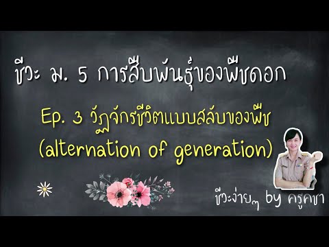 ชีววิทยา ม.5 | การสืบพันธุ์ของพืชดอก Ep.3 วัฏจักรชีวิตแบบสลับของพืช (alternation of generation)