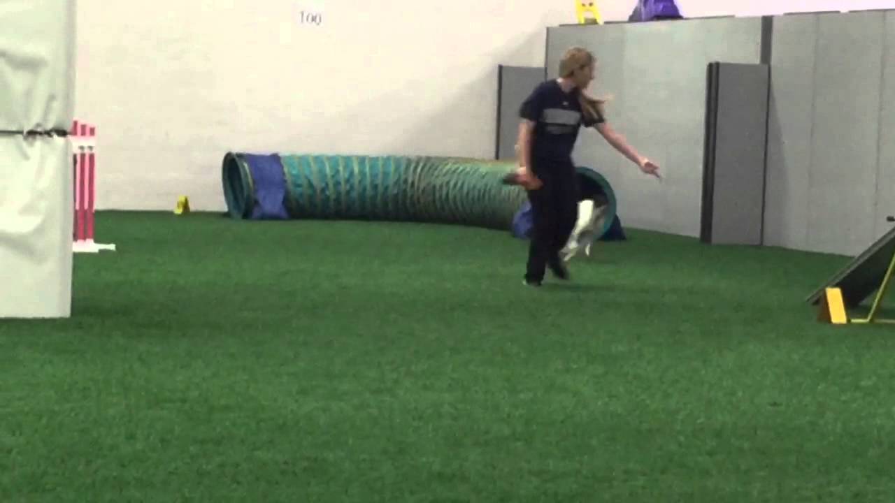 Agility 3 learning - YouTube
