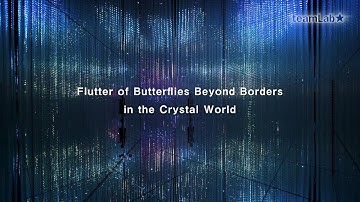 Flutter of Butterflies Beyond Borders in the Crystal World