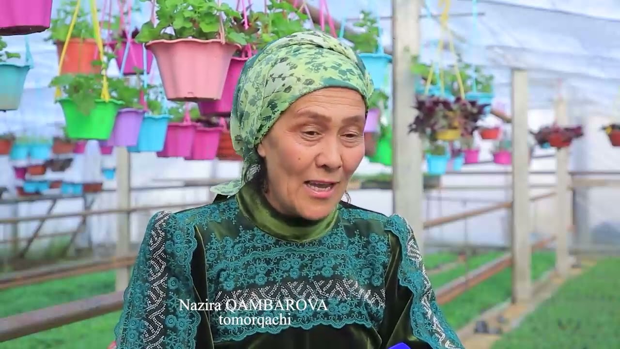 Oltiariq tumani Povulg‘on qishlog'i