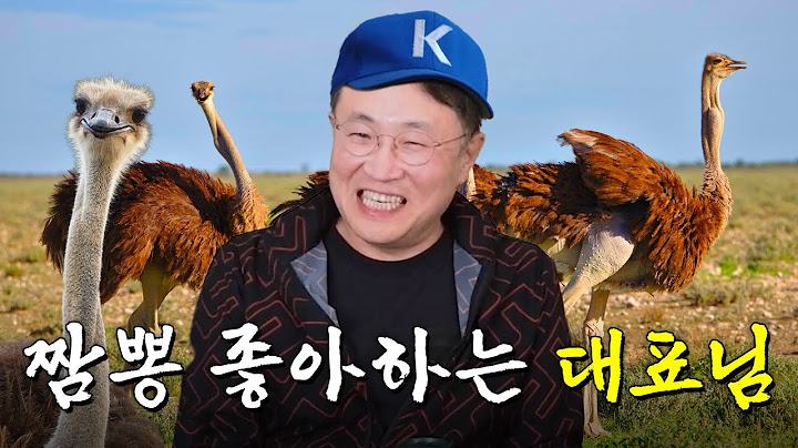 [sub] 본격 대표가 외줄타는 회사 | 🎥라이브 짧게보기