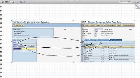 8   Customer Master Customization