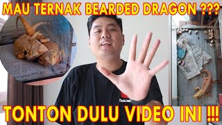 5 HAL WAJIB TAU SEBELUM TERNAK BEARDED DRAGON !!!! PEMULA MAU BREEDING BEARDED DRAGON WAJIB TONTON