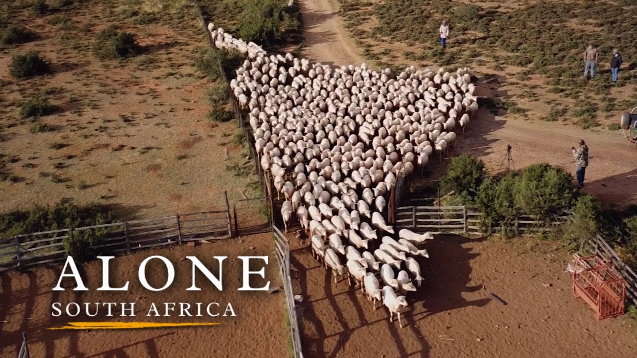 7 Days Running a Remote South African Farm