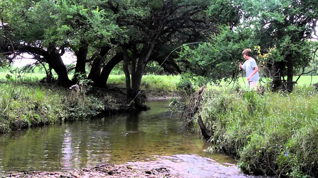 Fly Fishing for Creek Bass YouTube