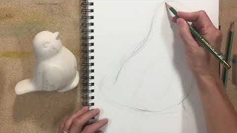 Contour Line Drawing tutorial