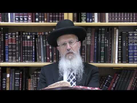 הגאון הרב אברהם שליט"א האם קריאת שְׁנַיִם מִקְרָא וְאֶחָד תַּרְגּוּם חייב להיות לפי הסדר