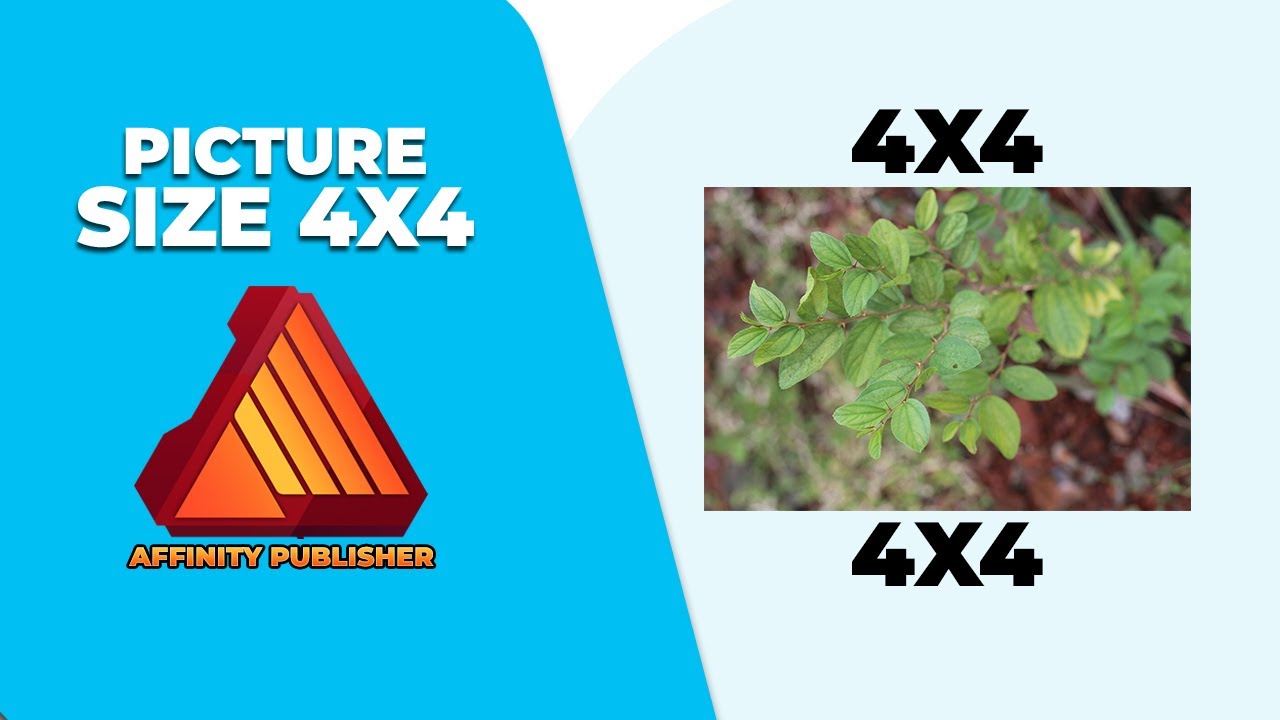 4x4 Picture Size Comparison