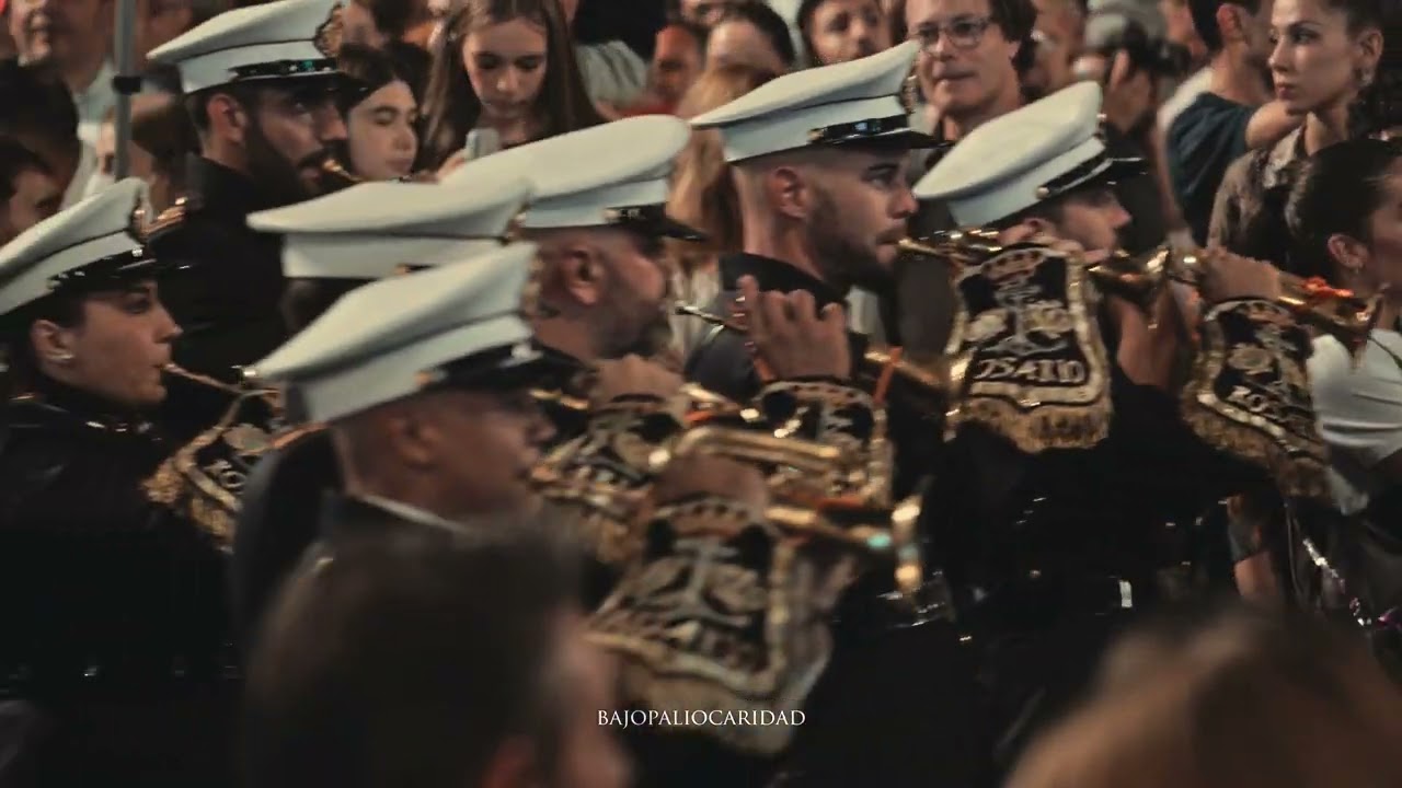 Sentencia BCT Rosario de Cádiz Magna Almería Bajopaliocaridad
