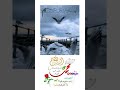 مشاري العفاسي قلبي عليه متيم عليك ياحبيبي يارسول الله اللهم صل على نبينا محمدصل الله عليه وسلم مشاري العفاسي قلبي عليه متيم عليك ياحبيبي يارسول الله اللهم صل على نبينا محمدصل الله عليه وسلم