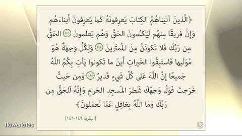 سورة البقرة من آية 146 الى 149