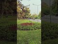 قلبي شدا يحيى حوى Explore اكسبلور 