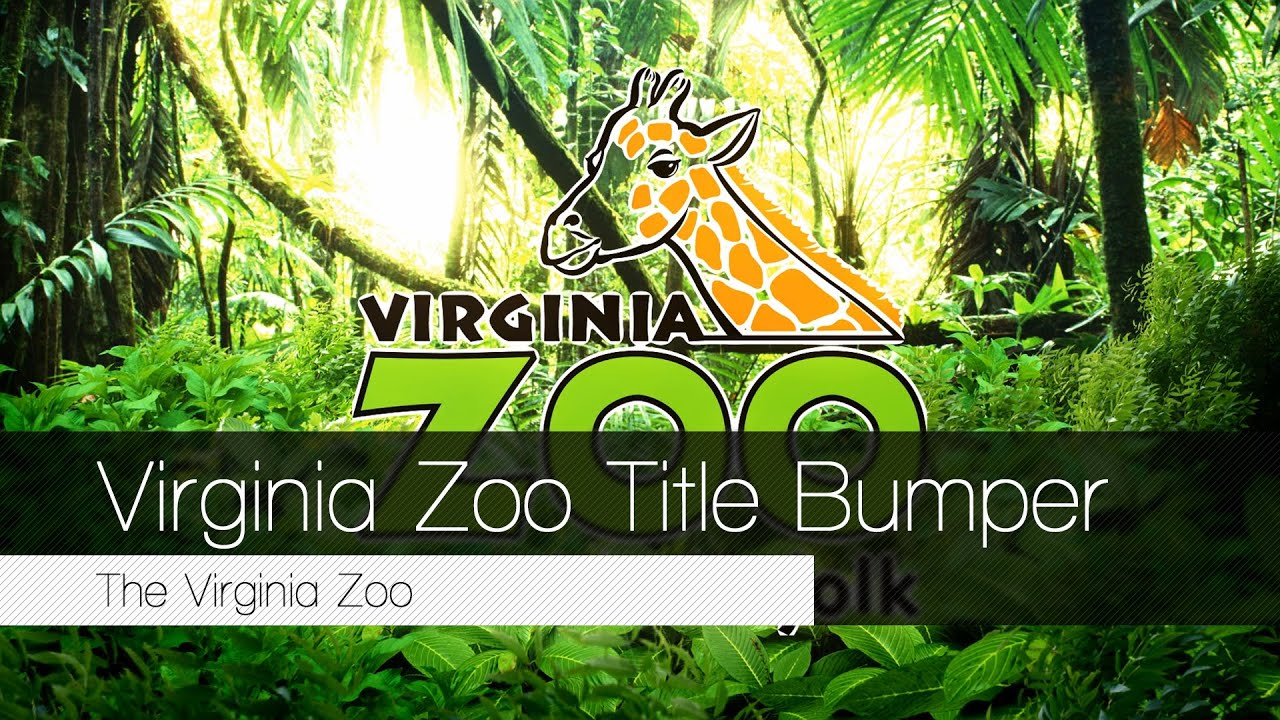 Virginia Zoo in Norfolk Discover Title Bumper YouTube