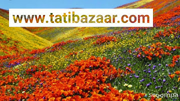 tatibazaar.com / Powerworld Store House