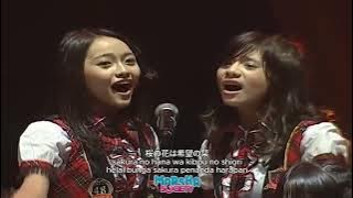 JKT48  - Sakura no Shiori (Pembatas Buku Sakura)