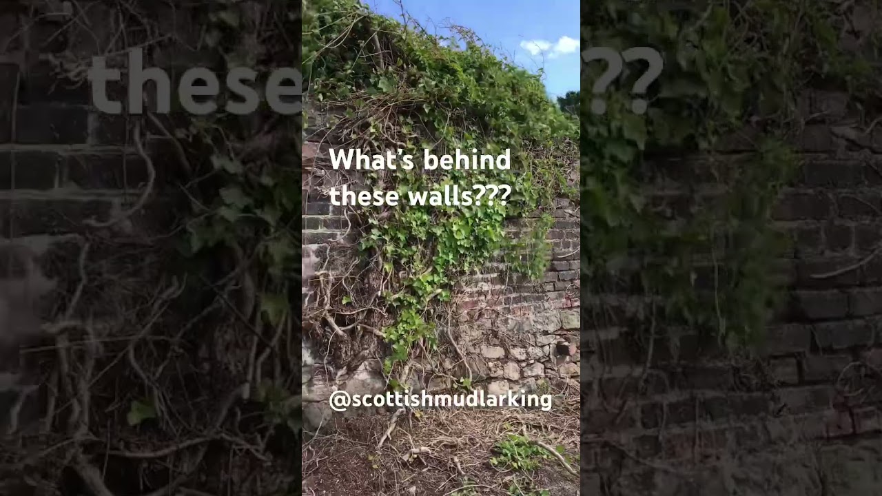 What’s behind these walls? Abandoned and overgrown ! 