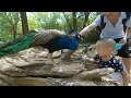 Zoo Tour-180 3D footage shot by QooCam
