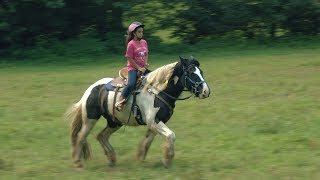 Trackrock Stables - Blairsville, GA by Alain Mayo 439 views 6 years ago 11 minutes, 31 seconds