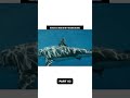 Could the Megalodon Still Be Hiding in the Ocean? 😨 | Ocean Documantry Part 3