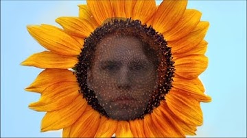 Jerma Trepang2 (Part 2) & Sunflower Update Stream Highlights