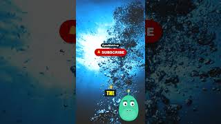 Mantis Shrimp Punch vs a .22 Bullet
