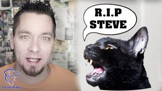 'Talking Kitty Cat' YouTuber Steve Cash's Cause of Death Confirmed by Coroner. Animals True Love