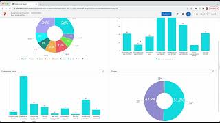 Reporting and data visualization on the Rival platform