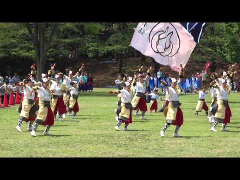 兎屋本舗／芝生流し会場／あっぱれ富士2015