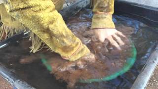 How To Pan For Gold For Beginners Ask Jeff Williams