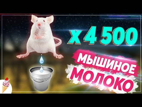 Видео: Где молоко самое дорогое?