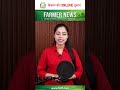 धान-दलहन के साथ अब श्रीअन्न पर बढ़ा फोकस, किसानों की आय बढ़ाने की नई तैयारी I  #f2df #news