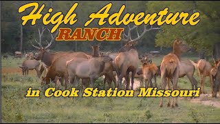 Elk Hunting at High Adventure Ranch in Cook Station Missouri