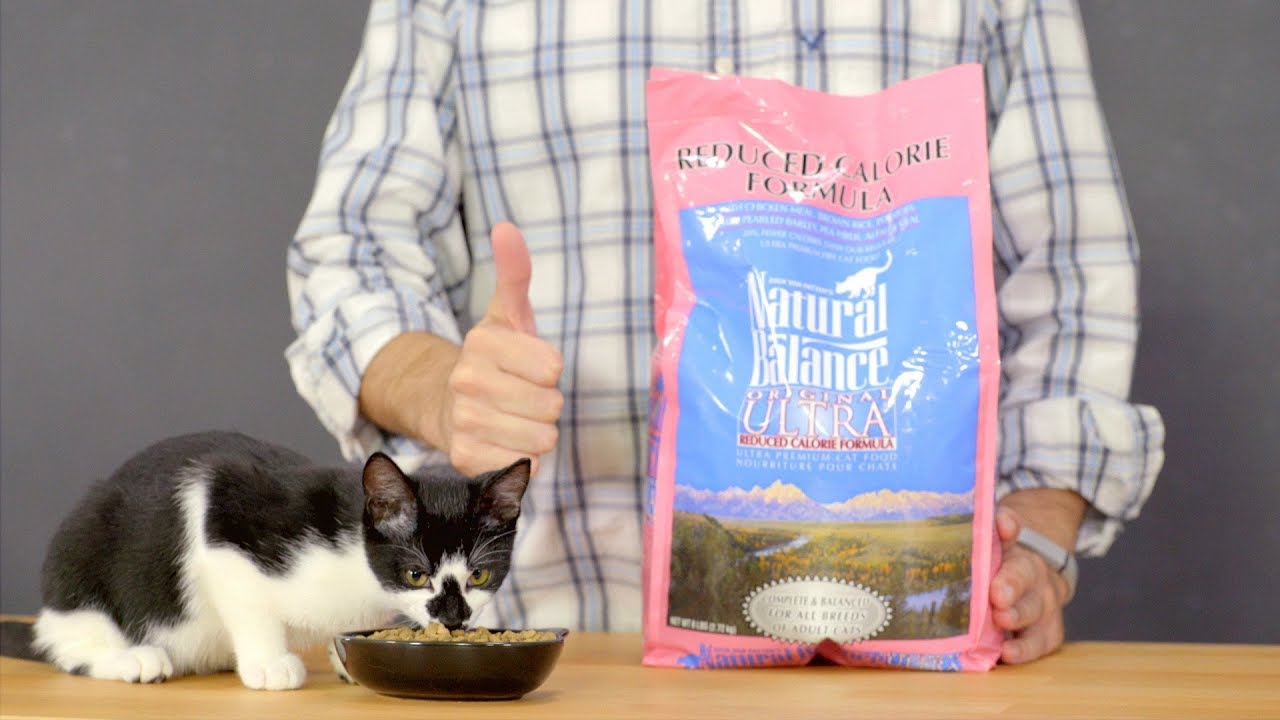 reduced calorie cat food